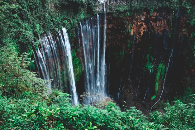 Foto een schilderachtig uitzicht op een waterval in het bos
