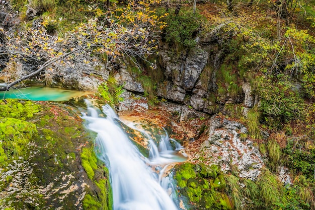 Foto een schilderachtig uitzicht op een waterval in het bos