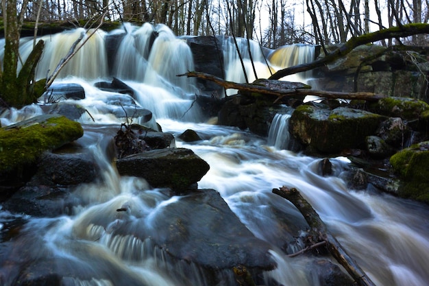 Een schilderachtig uitzicht op een waterval in het bos