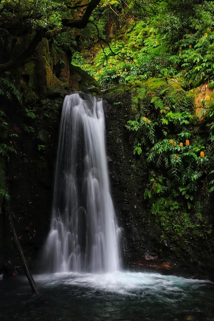 Een schilderachtig uitzicht op een waterval in het bos