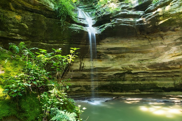 Een schilderachtig uitzicht op een waterval in het bos