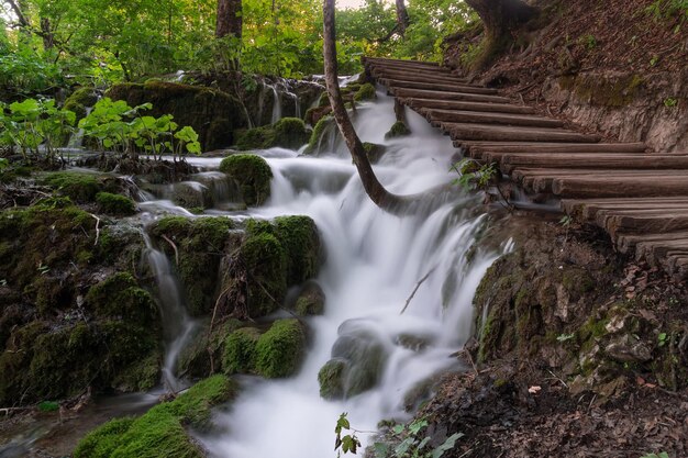 Foto een schilderachtig uitzicht op een waterval in het bos