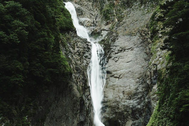 Een schilderachtig uitzicht op een waterval in het bos
