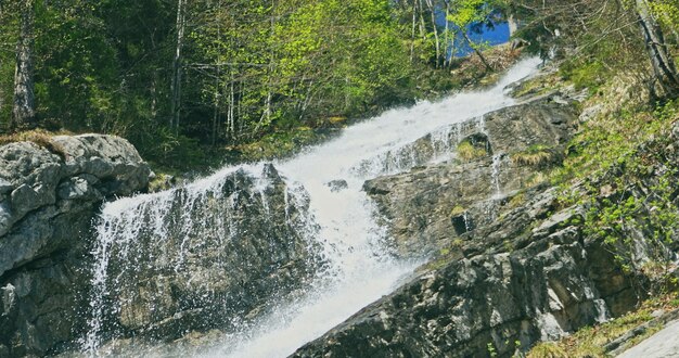 Een schilderachtig uitzicht op een waterval in het bos