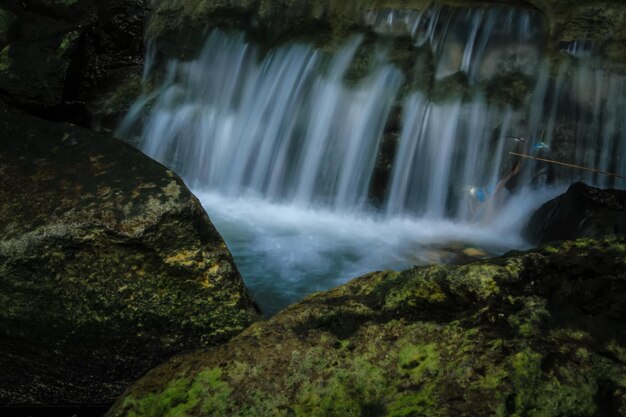 Een schilderachtig uitzicht op een waterval in het bos