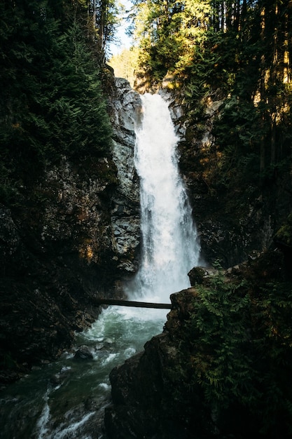 Een schilderachtig uitzicht op een waterval in het bos