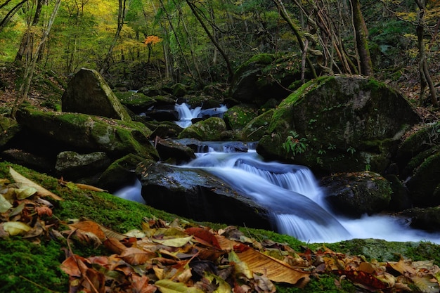 Een schilderachtig uitzicht op een waterval tussen rotsen in het bos