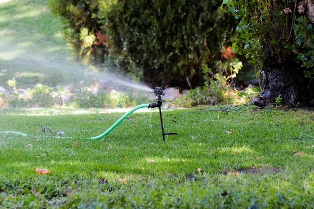 Een schilderachtig uitzicht op gras en water