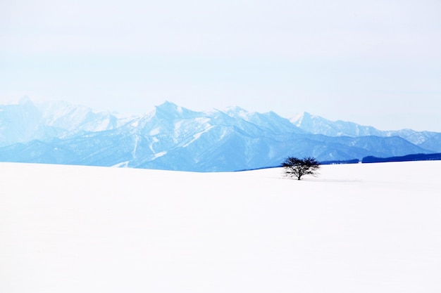 Een schilderachtig uitzicht op het besneeuwde landschap