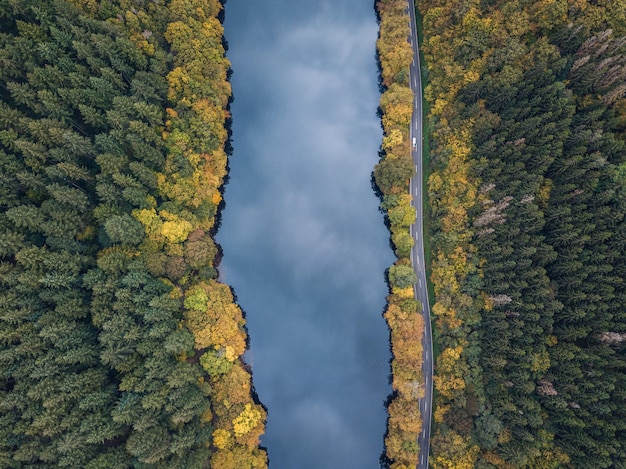 Een schilderachtig uitzicht op het bos tegen de hemel in de herfst