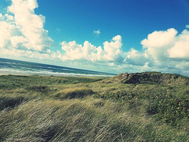 Een schilderachtig uitzicht op het gras dat naast de zee waait tegen een bewolkte lucht