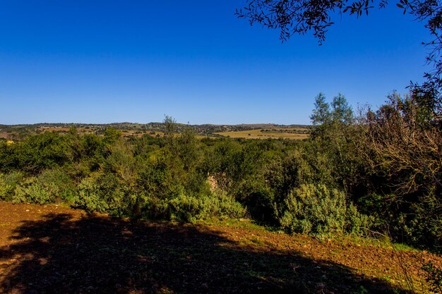 Foto een schilderachtig uitzicht op het land tegen een heldere blauwe hemel