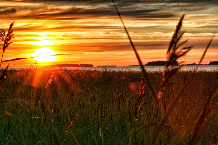 Foto een schilderachtig uitzicht op het landschap bij zonsondergang