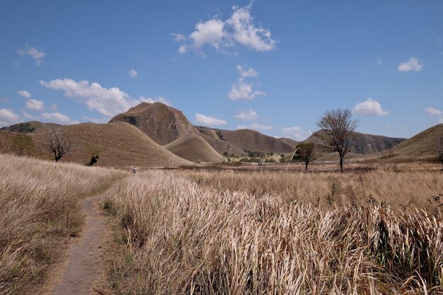 Foto een schilderachtig uitzicht op het landschap tegen de lucht