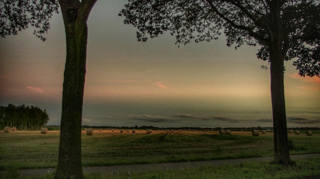 Foto een schilderachtig uitzicht op het landschap tegen de lucht