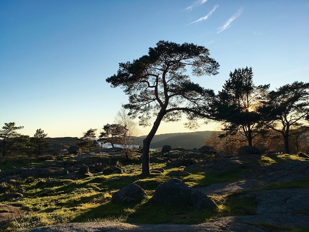 Een schilderachtig uitzicht op het landschap tegen de lucht