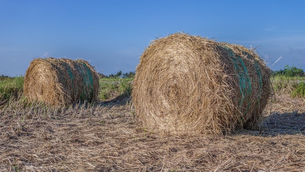 Een schilderachtig uitzicht op het landschap tegen een blauwe hemel