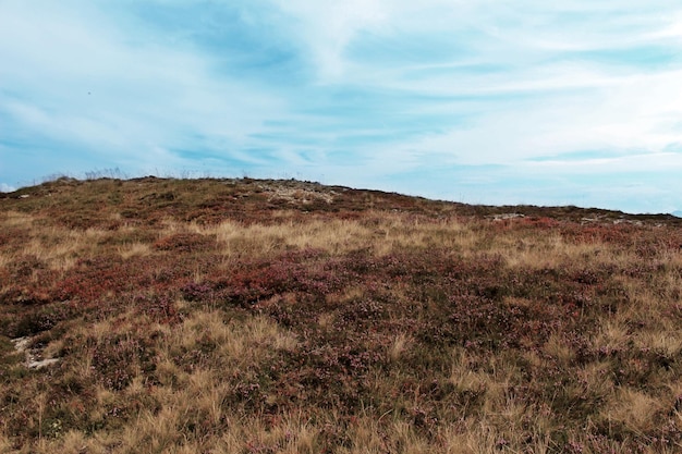 Een schilderachtig uitzicht op het landschap tegen een blauwe hemel