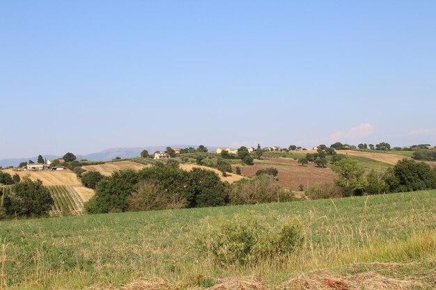 Foto een schilderachtig uitzicht op het landschap tegen een heldere lucht