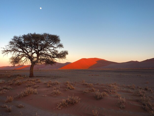 Een schilderachtig uitzicht op het landschap tegen een heldere lucht