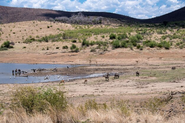 Foto een schilderachtig uitzicht op het landschap