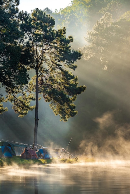 Een schilderachtig uitzicht op het meer bij het bos bij mistig weer