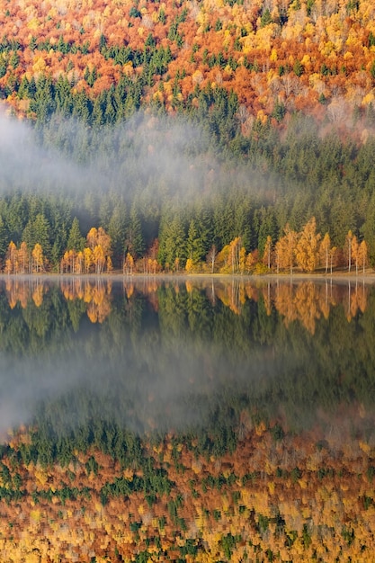Een schilderachtig uitzicht op het meer in de herfst