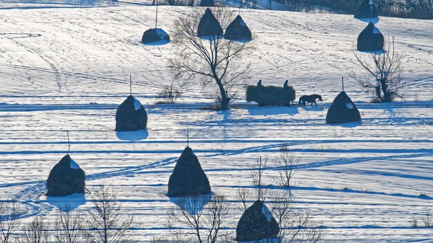 Foto een schilderachtig uitzicht op het met sneeuw bedekte land