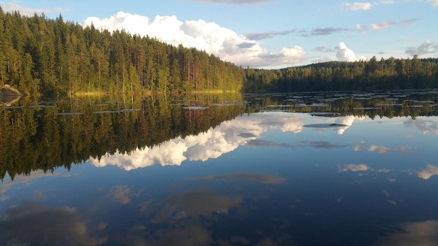 Een schilderachtig uitzicht op het rustige meer bij de bomen