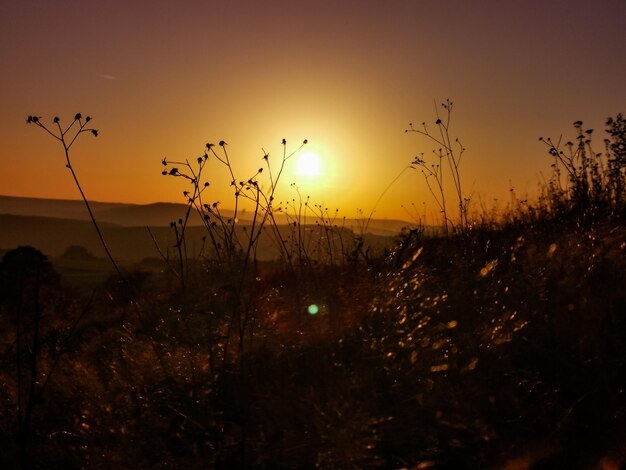 Foto een schilderachtig uitzicht op het silhouetveld tegen de hemel tijdens de zonsondergang