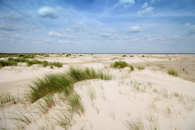 Foto een schilderachtig uitzicht op het strand