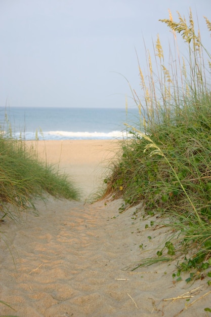 Foto een schilderachtig uitzicht op het strand