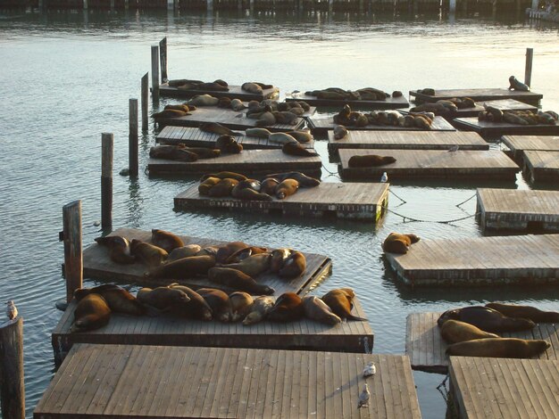 Foto een schilderachtig uitzicht op het water