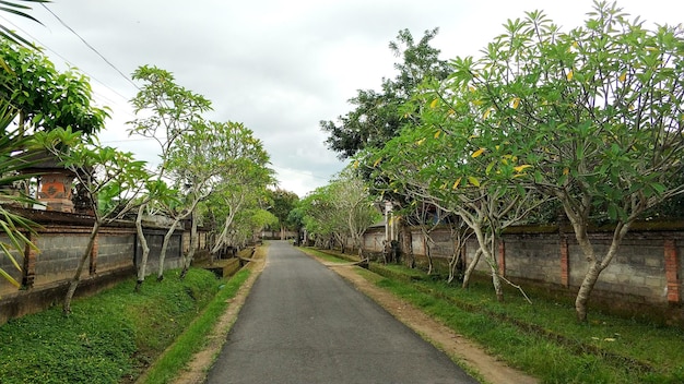 Een schilderachtige weg op het eiland Bali De mysterieuze paden van een sprookjesachtig eiland