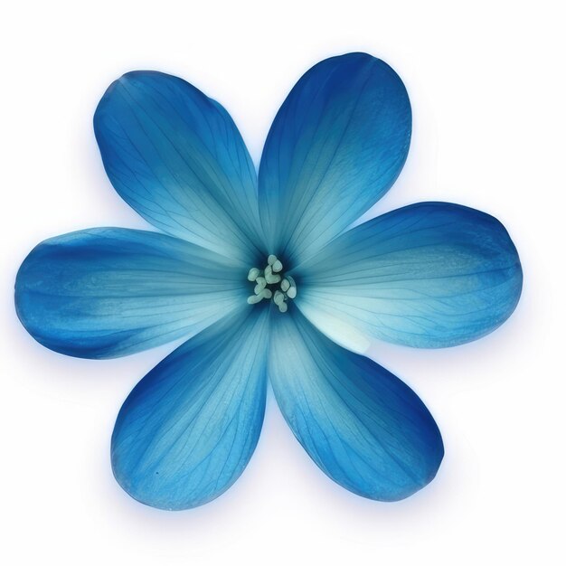 Een schilderij van een bloem met blauwe aquarellen.