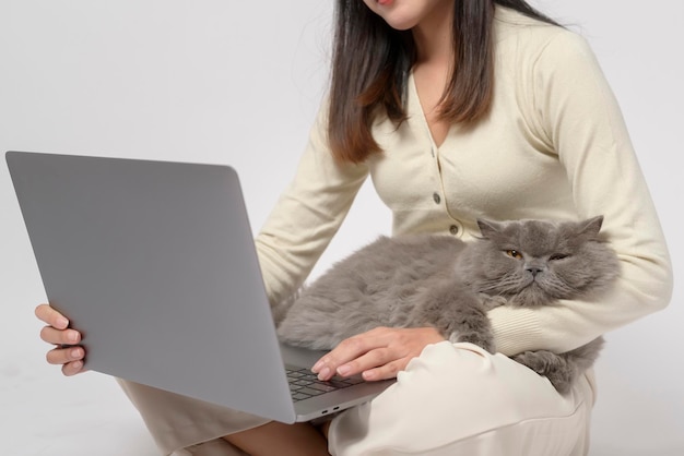 Een Schotse vouw mooie katten die op de hand van een jonge vrouw liggen terwijl ze met een laptop werken