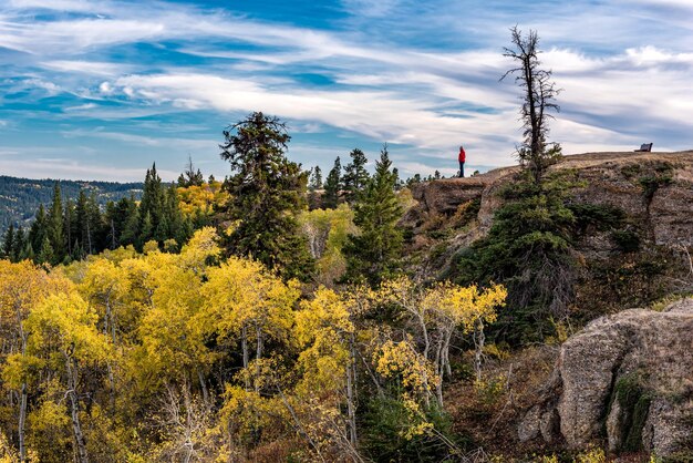 Een senior die herfstkleuren bekijkt van de Conglomerate Cliffs in Cypress Hills SK Canada