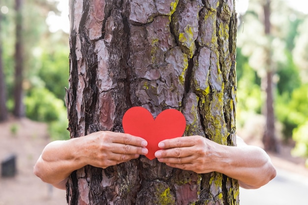 Een senior volwassen vrouw in het bos die een boom omhelst met haar armen Een rood hart geeft aan dat elke boom zijn leven heeft Earth Day-concept Mensen redden de planeet van ontbossing