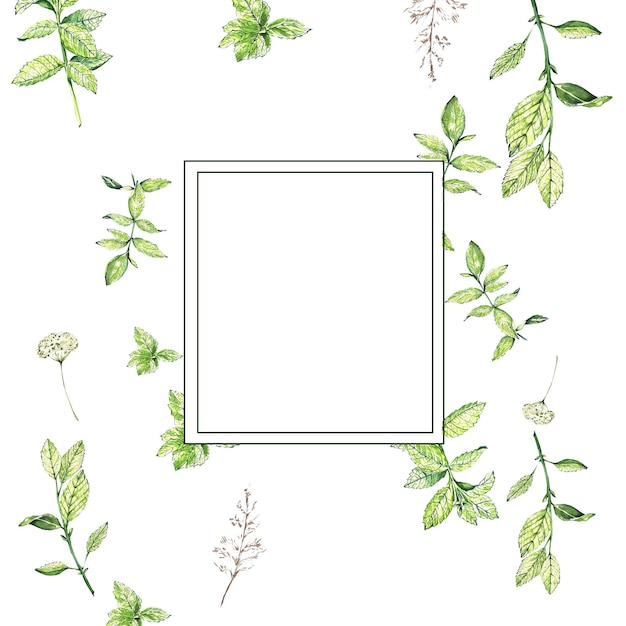 Een set aquarelelementen in de sketch mint met bladeren bloemen Theeset voor ansichtkaarten en design