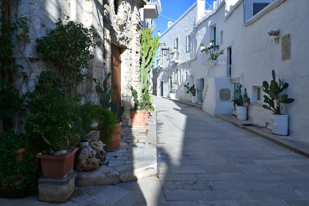Een smal straatje tussen de oude huizen van Monopoli, een stad in de provincie Bari, Italië