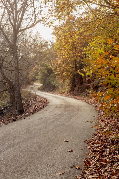 Een smalle landelijke weg in de bergen