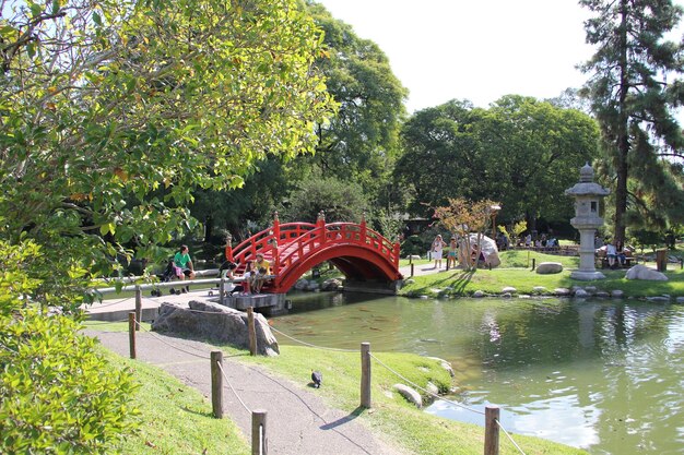 Een smalle loopbrug bij een vijver in het park