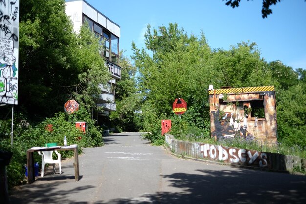 Foto een smalle loopbrug langs bomen.