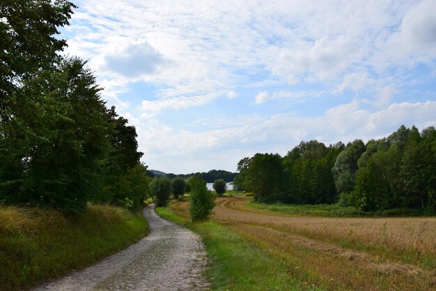 Foto een smalle onverharde weg langs het landschap