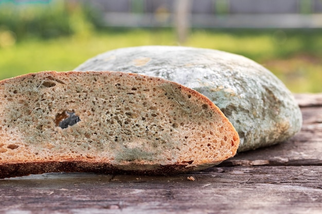 Een sneetje brood bedekt met schimmel op een houten ondergrond