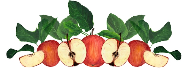 Een spandoek met handgetekende rode appels met groene bladeren en appels in een sectie Aquarelillustratie