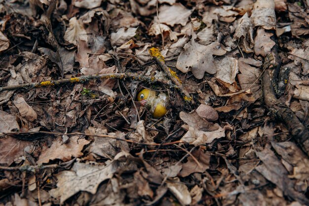 Een speelgoed tussen de bladeren in het bos Vervuiling van bossen met afval Verwerking en absorptie van plastic afval door de natuur