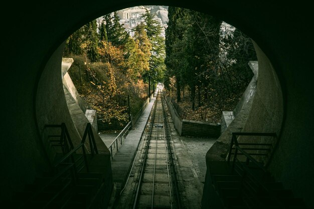 Foto een spoorlijn die uit de tunnel komt en het herfstlicht