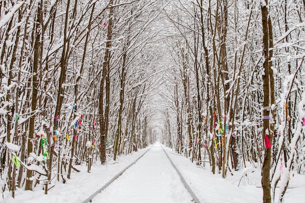 Een spoorweg in de winter bostunnel van liefde