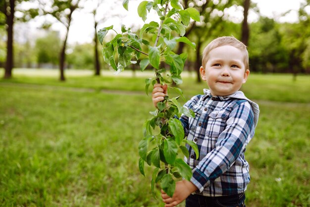 Een stamboom planten Kleine jongen die zijn grootvader helpt bij het planten van de boom terwijl hij samenwerkt